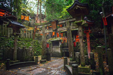 Wall Mural - old shrine in the forest in autumn season, the moss green makes it look fresh and moist. the atmosph