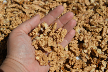 walnut harvest in the summer and cleaning from the shell, storage until the winter of the nut in the open form.