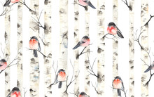Birch Trees With Bullfinches Birds On Branches, Watercolor Seamless Pattern. Forest Illustration Of Stems, Nature Template, Christmas Background.