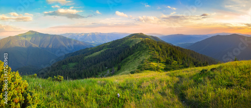 Beautiful summer landscape in the mountains. Sunset Poster Mural XXL
