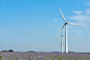 Wind turbines in a field with violet flowers against a blue sky in summer. Clean energy background or template with copy space.  