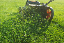 Mowing Grass Flies From The Lawn Mower.