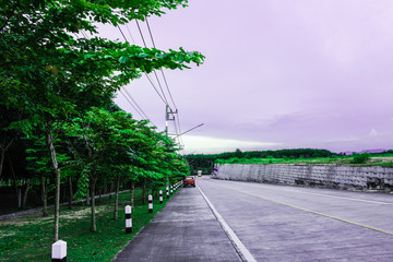 Green road in sunset sky, Row of green tree beside the road