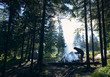 © anatoliy_gleb - Silhouette of male tourist bending over wooden trunk, breaking branches, trying to make fire near tents. Camping, tourism in summer spuce forest, fresh air, sunny day.