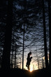 © anatoliy_gleb - Silhouettes of loving couple posing in evening forest. Wild nature with amazing views, summer sunset, man holding woman, feeling happy. Nature, love concept.