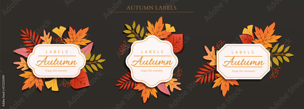 Autumn foliage label design Stock Vector | Adobe Stock