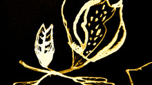 Luxury Botanical Sketch.  Black, Gold Floral 