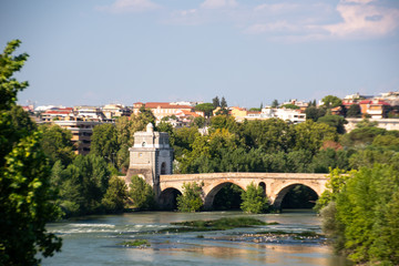 Wall Mural - Milvian Bridge on river Tiber in Rome, Italy