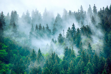 misty mountain landscape