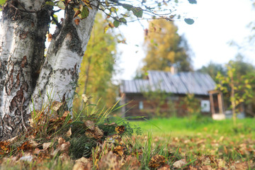 End of summer season in the park