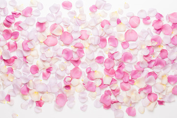 Wall Mural - Pink rose flowers petals on white background. Flat lay, top view, copy space.