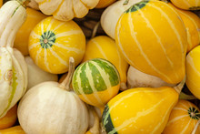 Autumn Pumpkin Background. Close Up Of Mini Pumpkins At Farmers Market
