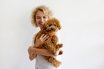 Adorable toy poodle puppy in arms of its loving owner. Small adorable doggy with funny curly fur with adult woman. Close up, copy space.