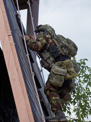 Wall Mural - Special forces soldiers storm the walls