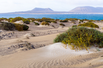 Canvas Print - Risco beach surrounded by cliffs on Lanzarote, Spain