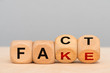 fact and fake printed on wooden cubes
