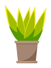 Wall Mural - Cactus with bright green leaves in brown ceramic pot. Aloe room plant icon. Succulent plant for home decor. Decorative home cartoon vector. Green random plant in brown pot vector graphic illustration