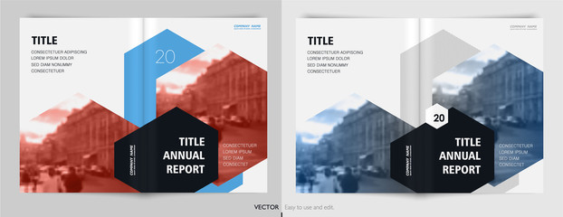Wall Mural - geometric design annual report cover book vector template brochures layout flyers, presentations lea