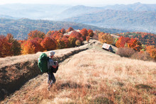 Backpacker At Sunny Autumn Meadow With Orange Beech Trees. Ukrainian Carpathians Mountains. Landscape Photography