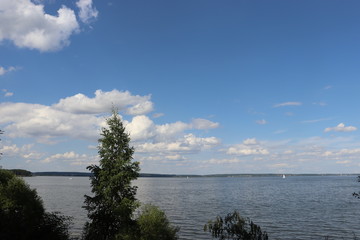 Wall Mural - Baltic landscape with forest and lake shore