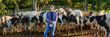 © JENOCHE - Farmer is working on farm with dairy cows