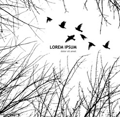 background with tree branches and with flying birds. vector illustration