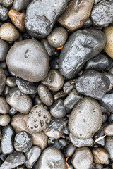 Wall Mural - Wet Stones in a River Bed