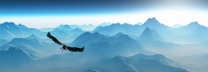 eagle flying in the clouds at dawn