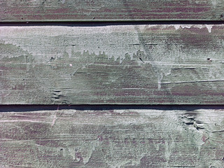 photo texture of old wood.