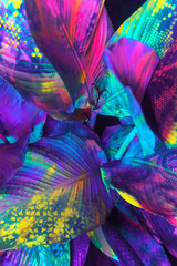 Painted palm pattern/background
