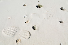 Human Footprint On The Sandy Beach