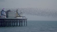 Brighton Palace Pier In England With Starling Murmuration