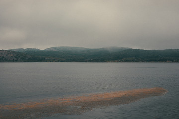 Wall Mural - fog over the river