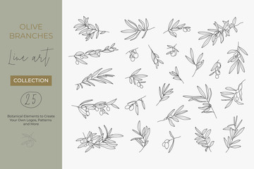a set of olive branches in a modern linear minimal style. vector illustrations of branches with frui