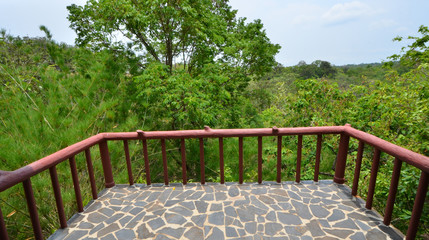 Wall Mural - View point balcony for green tropical forest looking