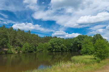 Wall Mural - beautiful lake and shore with trees