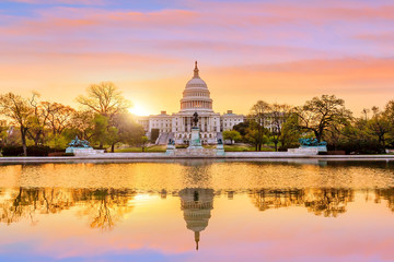 Fototapete - Capitol building in Washington DC