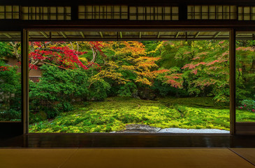 Colorful autumn Japanese garden of Rurikoin temple in Kyoto