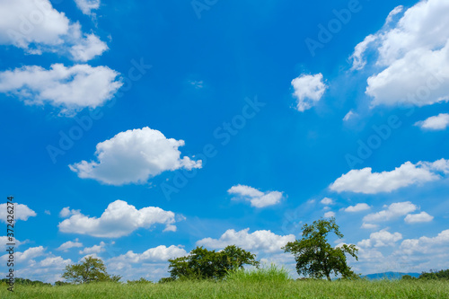 夏の草原爽やか背景素材stock Photo Adobe Stock 夏の草原爽やか背景素材stock Photo Adobe Stock