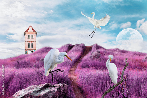 Obraz na plátně contemporary art collage of white birds on surreal landscape