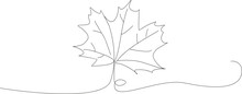 Autumn Maple Leaf Lineart