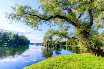 Summer evening in the Park with a lake. Summer landscape. nature of Russia. Well-maintained Park. Evening smoothness. The reflection in the water.