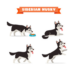 Sticker - cute husky dog animal pet with many pose bundle set