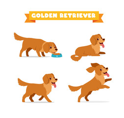 Canvas Print - cute golden retriever dog animal pet with many pose bundle set