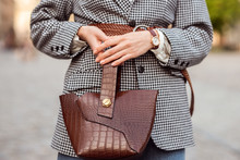 Autumn Fashion, Street Style Details: Close Up Of Woman Hands With Trendy  Brown Faux Croco Leather Textured Top Handle Bag, Handbag