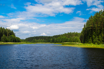 Wall Mural - Summer lake landscape, nature background