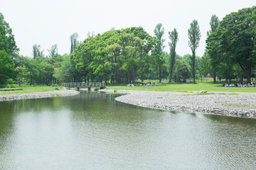 Poster - 湖畔の風景