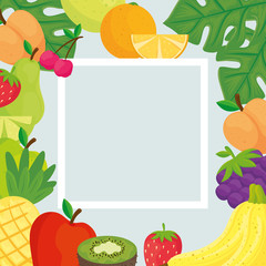 Canvas Print - square frame with tropical fresh fruits vector illustration design