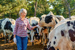 © JENOCHE - Farmer woman is working on farm with dairy cows
