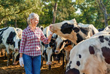 Fototapeta Na ścianę - Farmer woman on cow farm around herd